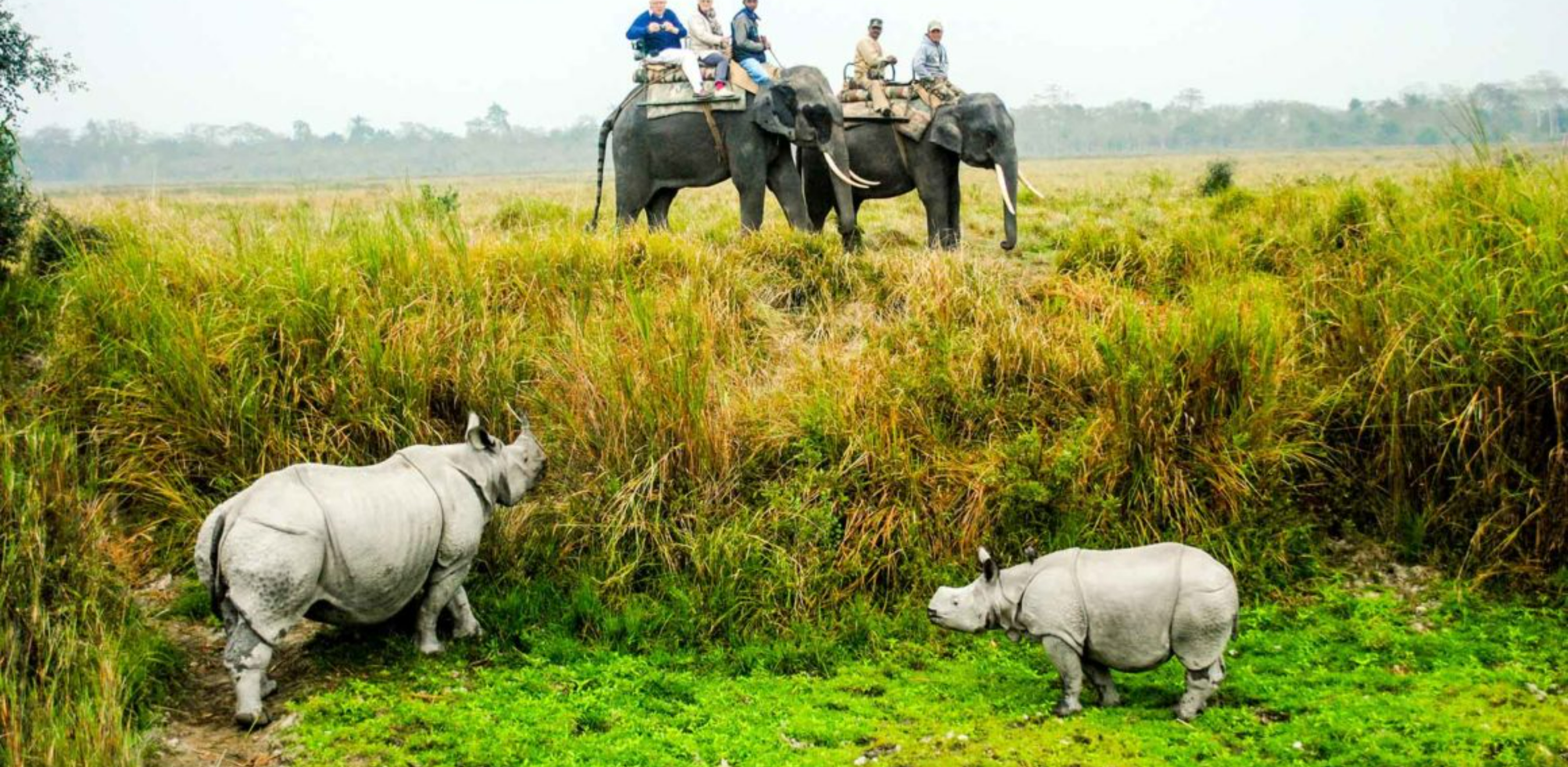 6 Days Meghalaya Kaziranga Wildlife Tour